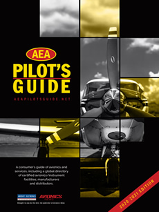 AEA Pilot's Guide 2020-21 Edition